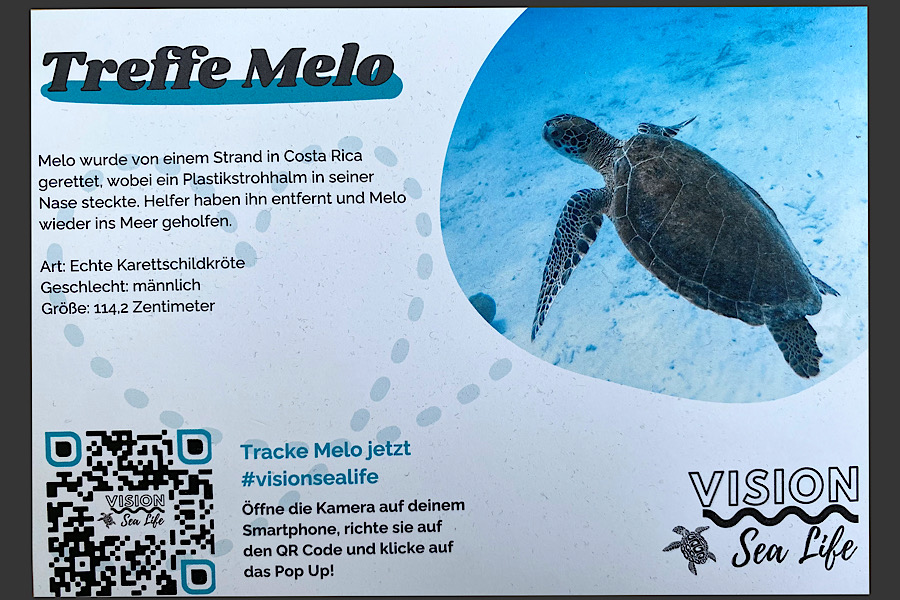 Bild einer Postkarte mit einer Meeresschildkröte. Auf dem Text steht "Treffe Melo". Es steht eine Beschreibung zu der Meeresschildkröte und ist ein QR-Code zum Tracken abgebildet.