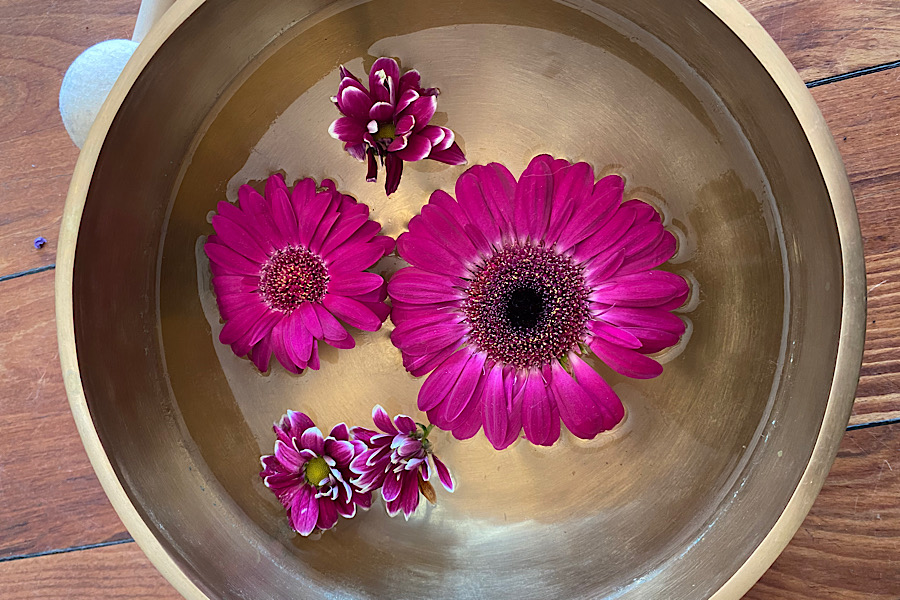 Rosa Blütenblätter in einer Klangschale gefüllt mit Wasser